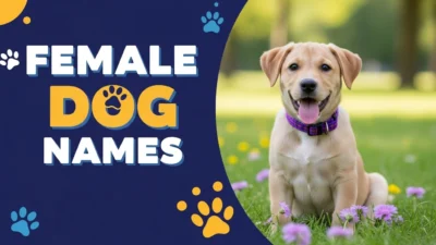 Female Dog Names