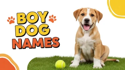 Boy Dog Names