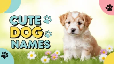 Cute Dog Names