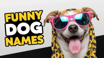 Funny Dog Names